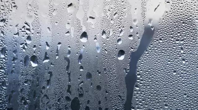 1551083837990075.jpg 微信圖片_20190225163706.jpg